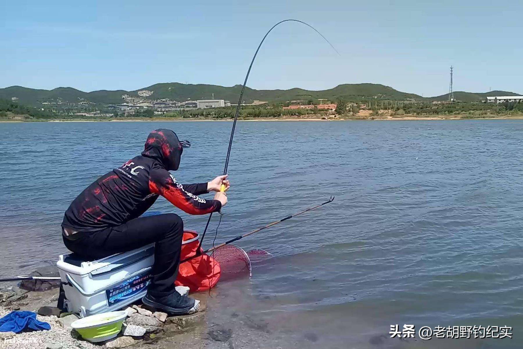 顶漂不中鱼什么原因(为什么会出现浮漂上顶却不中鱼的情况)-图片8